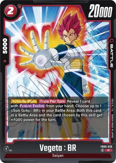 Vegeta : BR - FB09-020