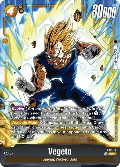 Vegeta - FS11-14