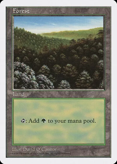 Forest