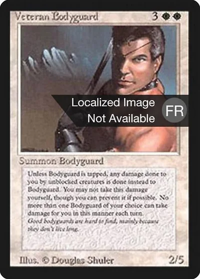 Veteran Bodyguard