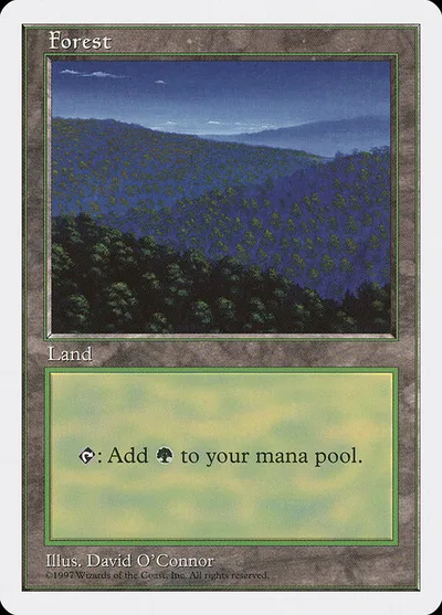Forest