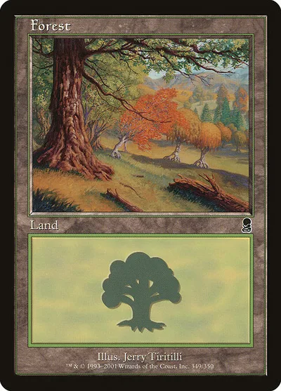 Forest