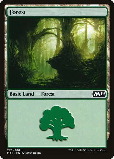 Forest