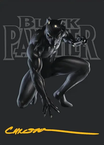 Black Panther, Hope Enduring // Black Panther, Hope Enduring