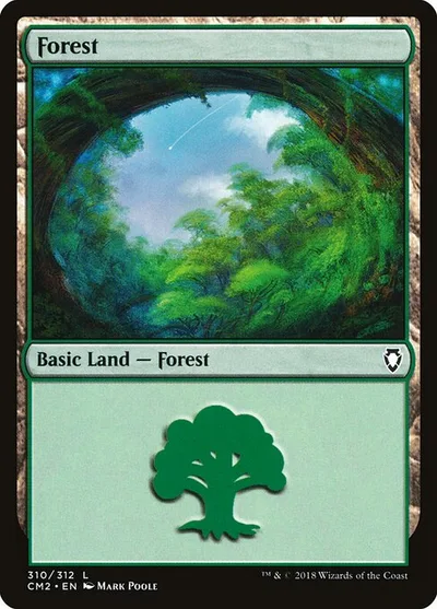 Forest