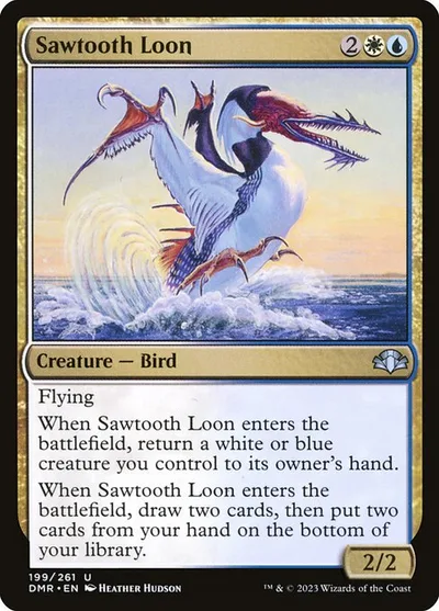 Sawtooth Loon