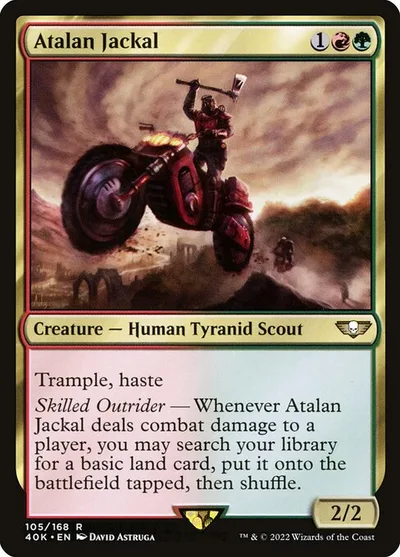 Atalan Jackal
