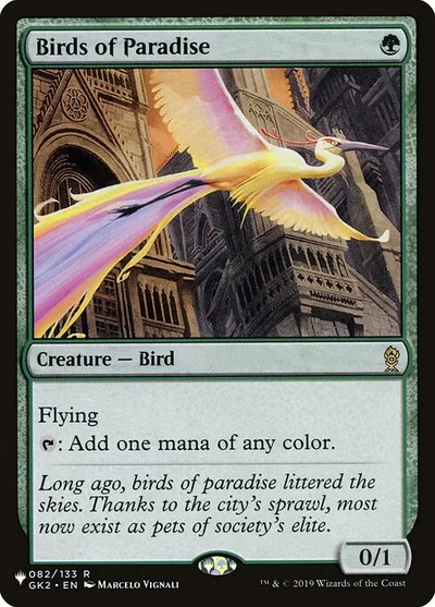 Birds of Paradise