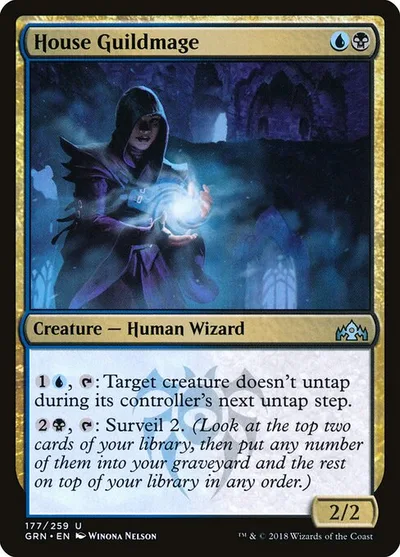 House Guildmage