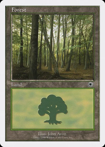 Forest