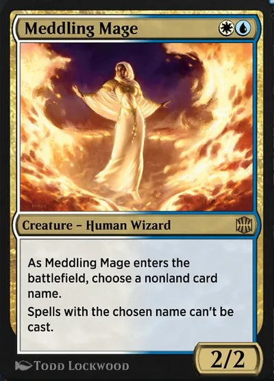 Meddling Mage