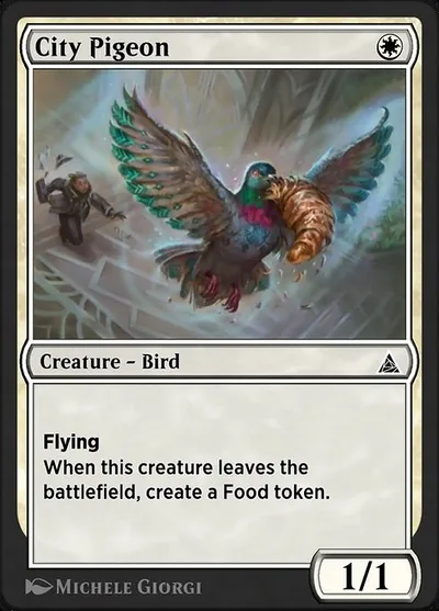 City Pigeon