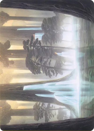 Waterlogged Grove // Waterlogged Grove