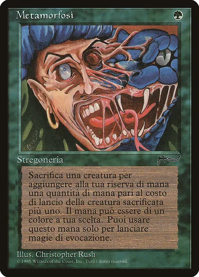 Metamorphosis