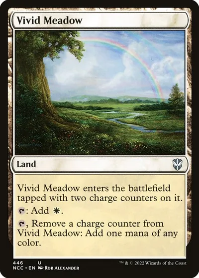 Vivid Meadow