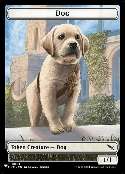 Dog