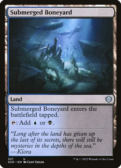 Submerged Boneyard