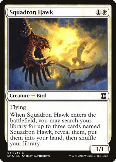 Squadron Hawk