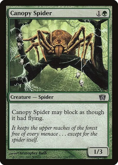 Canopy Spider