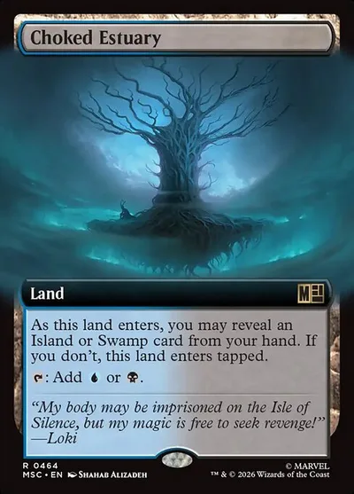 Choked Estuary