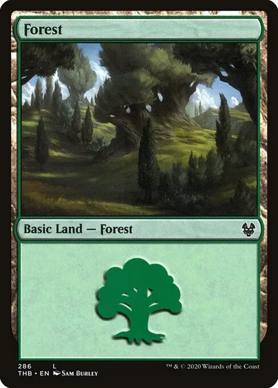 Forest