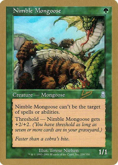 Nimble Mongoose