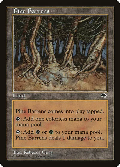 Pine Barrens