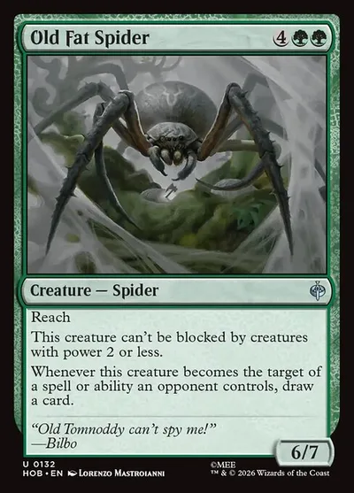 Old Fat Spider