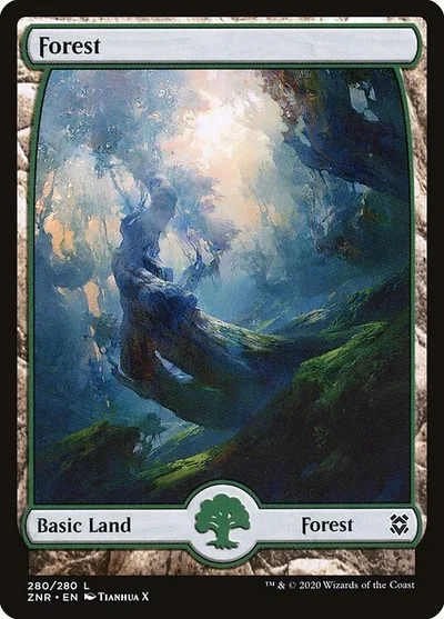 Forest