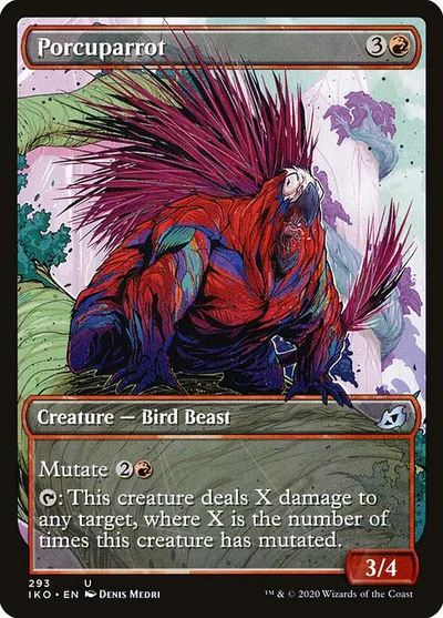 Porcuparrot