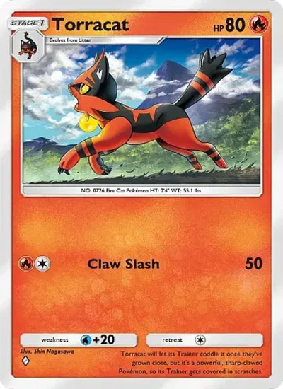 Torracat