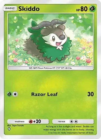 Skiddo