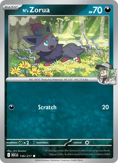 Zorua di N