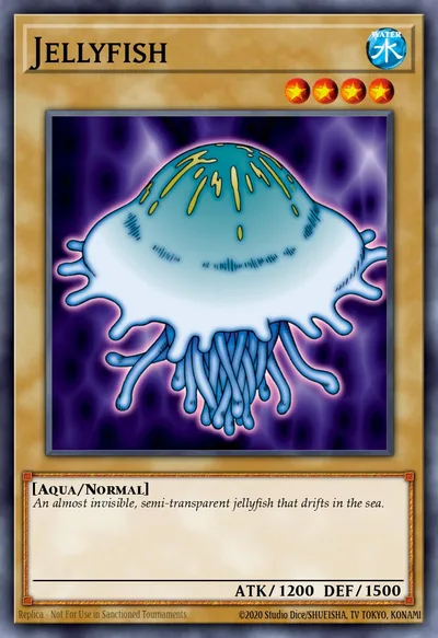 Jellyfish