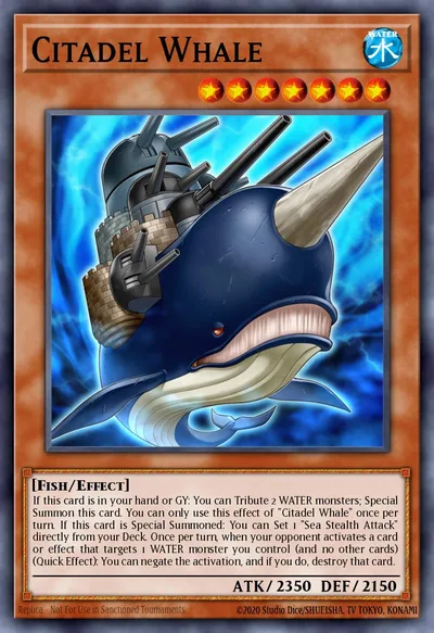 Citadel Whale