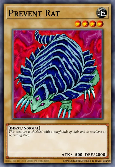 Prevent Rat