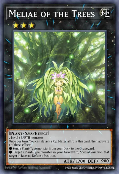 Meliae of the Trees