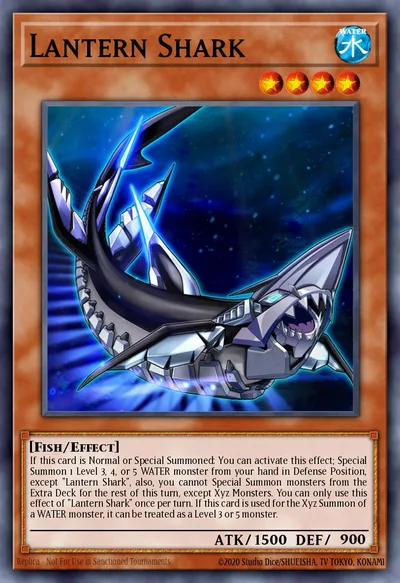 Lantern Shark