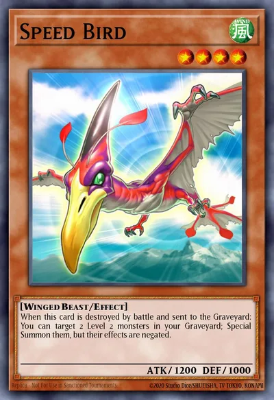 Speed Bird