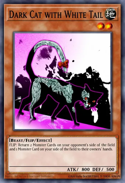 Dark Cat with White Tail