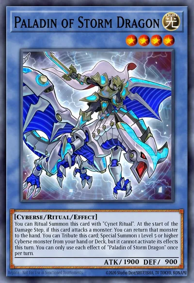 Paladin of Storm Dragon