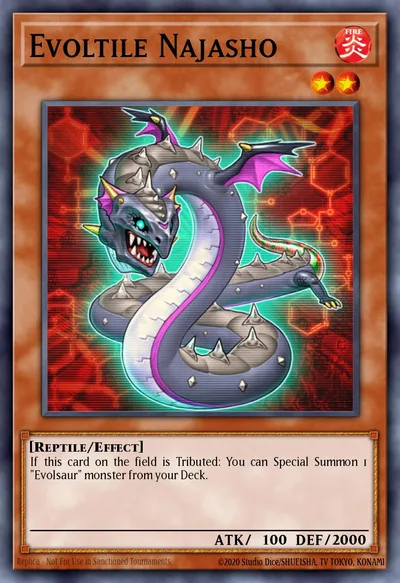 Evoltile Najasho