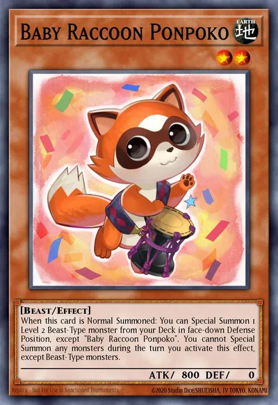 Baby Raccoon Ponpoko