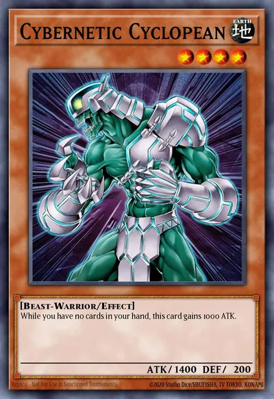 Cybernetic Cyclopean