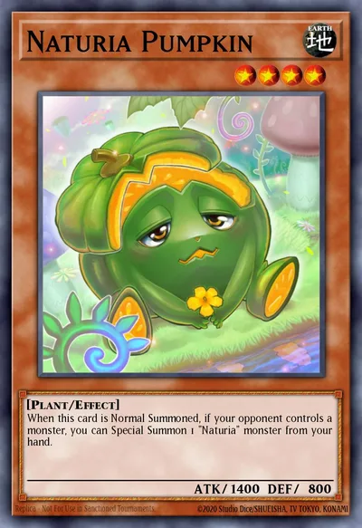 Naturia Pumpkin