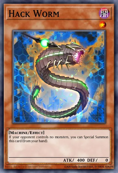 Hack Worm